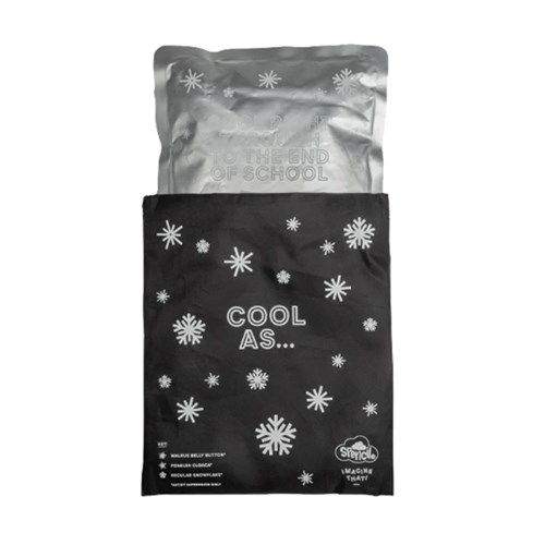 SPE-CHPK-B - SPENCIL BIG CHILL PACKS Fits Big Spencil Lunch Bags(2)